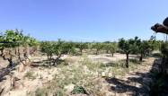 Odsprzedaż - Country House - La Marina - Costa Blanca