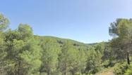 Odsprzedaż - Country House - Villena - Inland