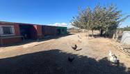 Odsprzedaż - Finca - Dolores - Comunidad Valenciana
