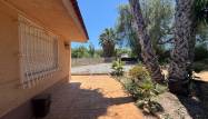 Odsprzedaż - Finca - Dolores - Comunidad Valenciana