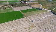Odsprzedaż - Finca - Orihuela - Desamparados-hurchillo-torremendo