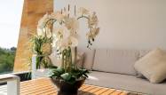 Odsprzedaż - Penthouse - Orihuela Costa - Los Dolses