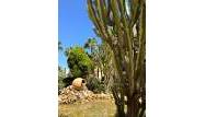 Odsprzedaż - Penthouse - Torrevieja - Los Frutales