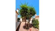 Odsprzedaż - Villa - Torrevieja - Costa Blanca