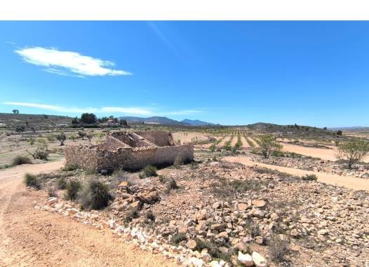 Other - Resale - Pinoso - Inland