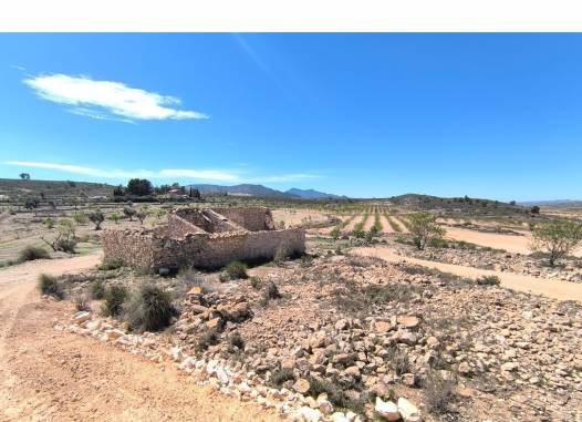 Other - Revente - Rodriguillo - Inland