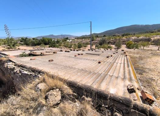 Other - Salg - Chinorlet - Inland