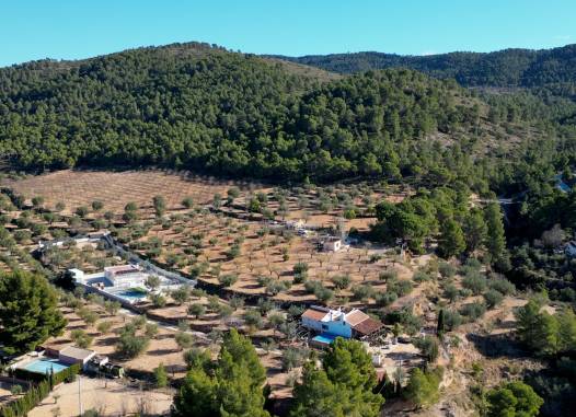 Parcela/Terreno - Venta - Ibi - CWG843