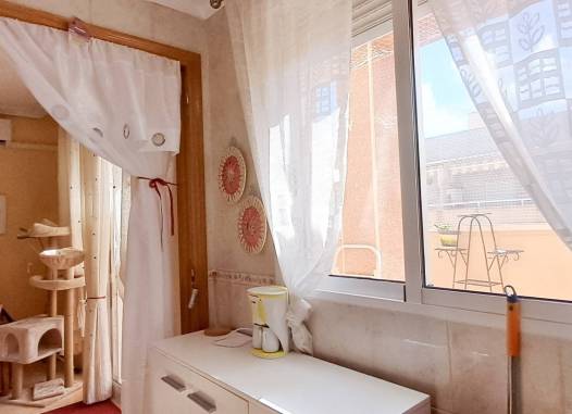 Penthouse - Salg - Torrevieja - Torrevieja