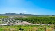 Перепродажа - Апартаменты - Algorfa - Inland