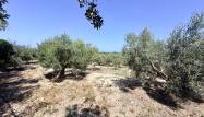 Перепродажа - Country House - La Marina - Costa Blanca
