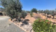 Перепродажа - Country House - Pinoso - Inland