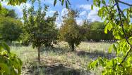 Перепродажа - Country House - Villena - Inland