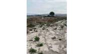 Перепродажа - Country House - Villena - Inland