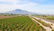 Перепродажа - Finca - Callosa de Segura - Inland