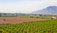 Перепродажа - Finca - Callosa de Segura - Inland