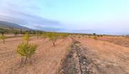 Перепродажа - Land - Pinoso - Inland