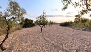 Перепродажа - Land - Pinoso - Inland