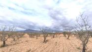 Перепродажа - Land - Pinoso - Inland