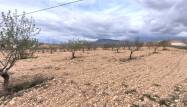 Перепродажа - Land - Pinoso - Inland