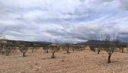Перепродажа - Land - Pinoso - Inland