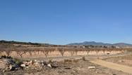 Перепродажа - Land - Pinoso - Inland
