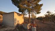 Перепродажа - Land - Pinoso - Inland