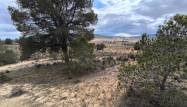 Перепродажа - Land - Pinoso - Inland