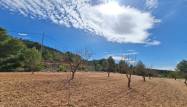 Перепродажа - Land - Pinoso - Inland