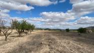 Перепродажа - Land - Pinoso - Inland