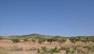 Перепродажа - Land - Pinoso - Inland