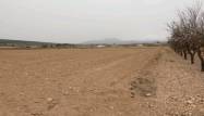 Перепродажа - Land - Pinoso - Inland