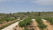 Перепродажа - Вилла - Pinoso - Inland