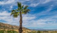 Resale - Apartment - Algorfa - Inland