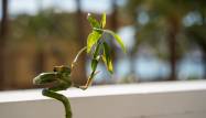 Resale - Apartment - Alicante - - Centro  -