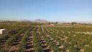 Resale - Apartment - Daya Nueva - Costa Blanca