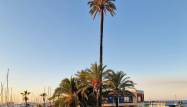 Resale - Apartment - Denia - Costa Blanca