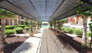Resale - Apartment - Orihuela Costa - Costa Blanca