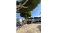 Resale - Apartment - San Fulgencio - San Fulgencio Pueblo