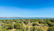Resale - Apartment - Torrevieja - Costa Blanca
