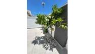 Resale - Bungalow - Torrevieja - La Siesta - El Salado - Torreta