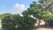 Resale - Bungalow - Torrevieja - Torretas