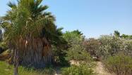 Resale - Country House - Daya Nueva - Costa Blanca