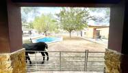 Resale - Country House - Orihuela - Inland