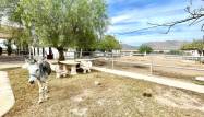 Resale - Country House - Orihuela - Inland