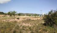 Resale - Country House - Pinoso - Inland