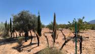 Resale - Country House - Villena - Inland