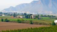 Resale - Finca - Callosa de Segura - Inland