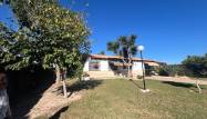 Resale - Finca - Dolores - Comunidad Valenciana