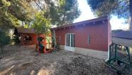 Resale - Finca - Dolores - Comunidad Valenciana